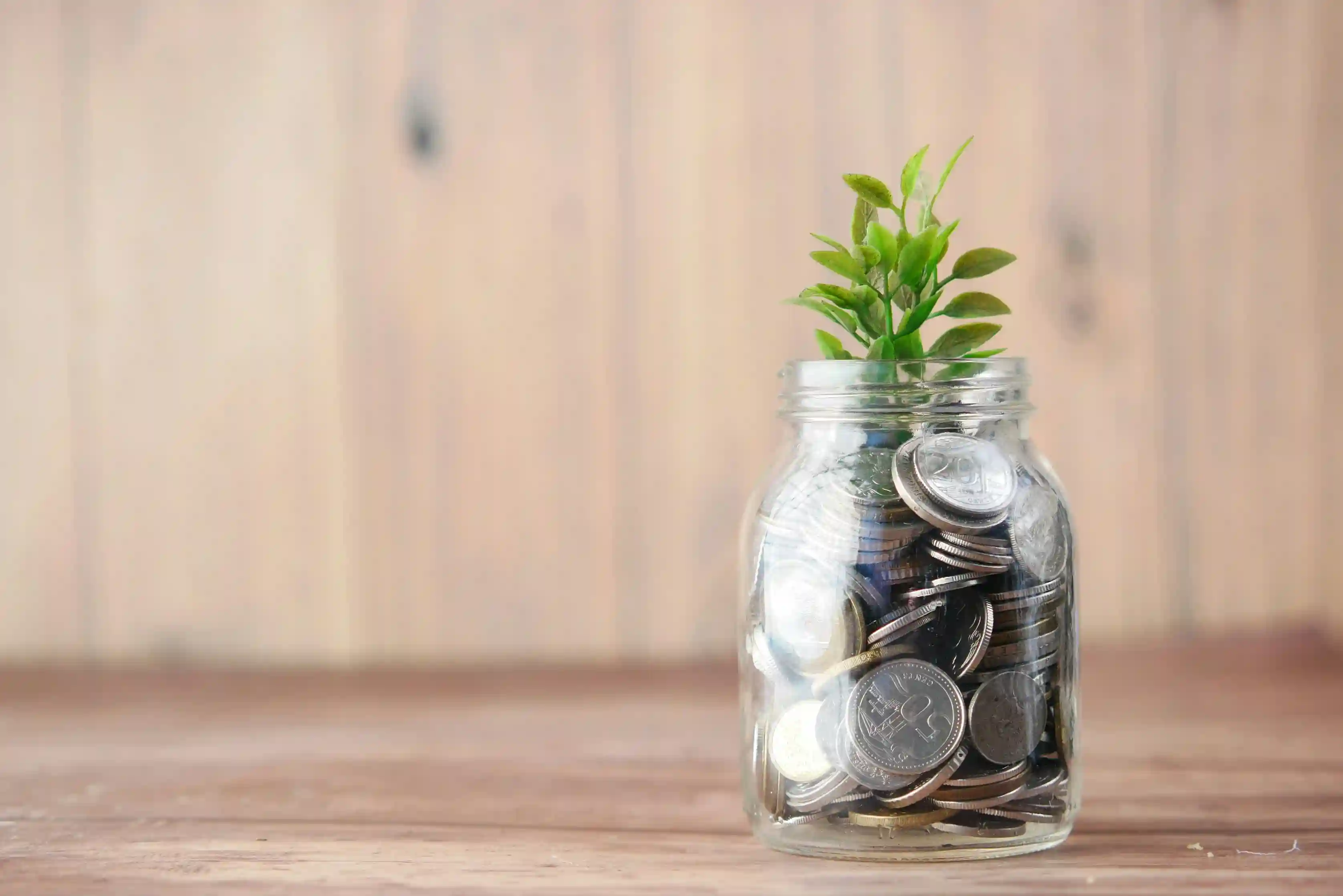Economic Marketing Background